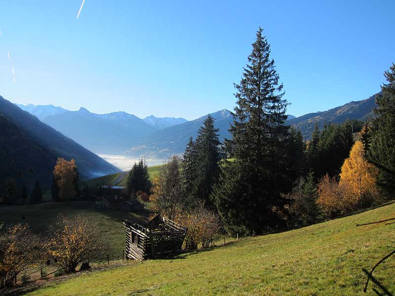 Schwarzwand